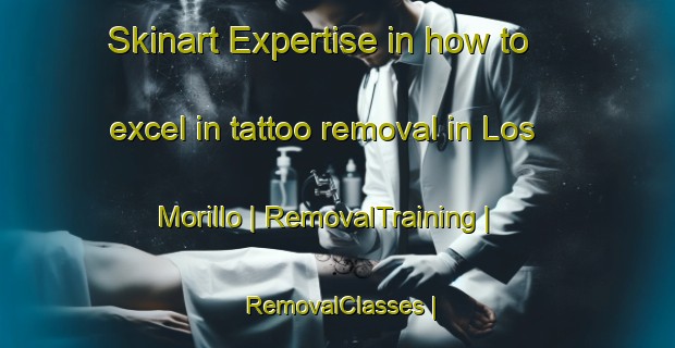 Skinart Expertise in how to excel in tattoo removal in Los Morillo | RemovalTraining | RemovalClasses | SkinartTraining-Mexico